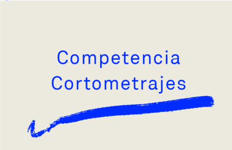 Competencia Internacional Cortometrajes