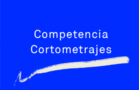Competencia Internacional Cortometrajes