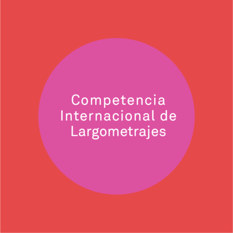 COMPETENCIA INTERNACIAL DE LARGOMETRAJES