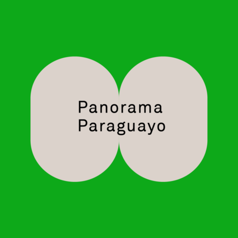 PANORAMA PARAGUAYO